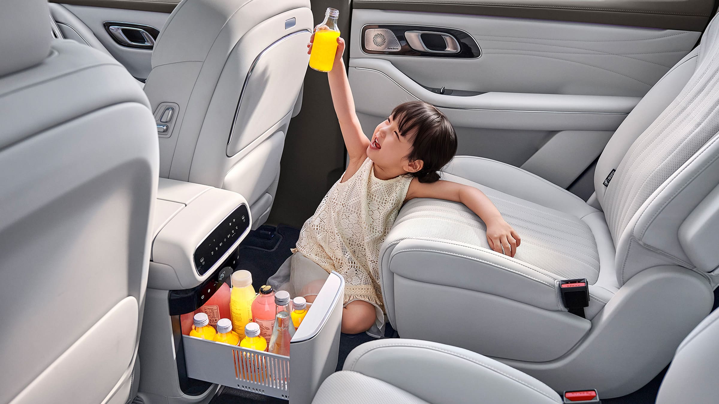 Мобильный холодильник